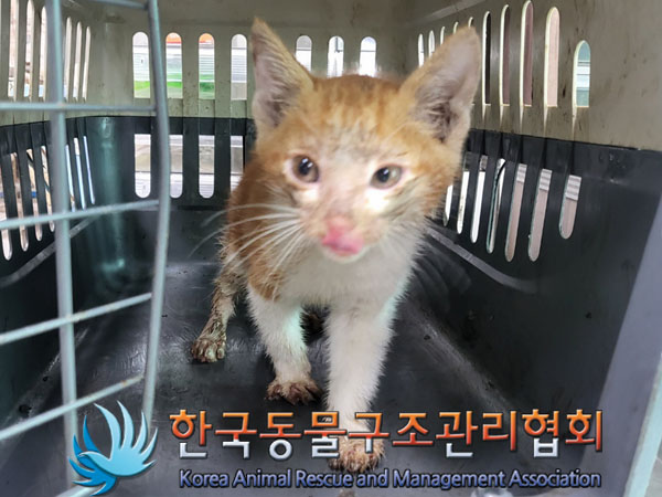 한국동물구조관리협회_411316202300461
